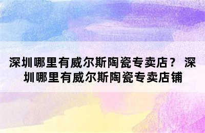 深圳哪里有威尔斯陶瓷专卖店？ 深圳哪里有威尔斯陶瓷专卖店铺